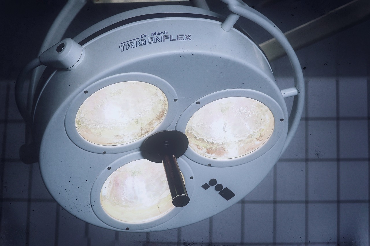 Mond梦都蓝莓：济宁代驾平台代理