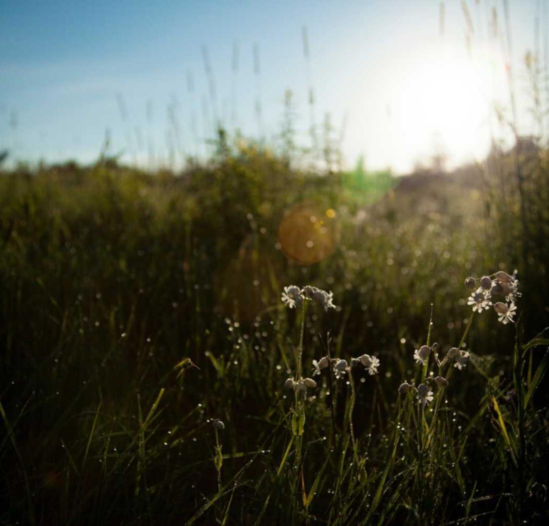 DDOS平台|常见的黑客入侵技术和防范方法
