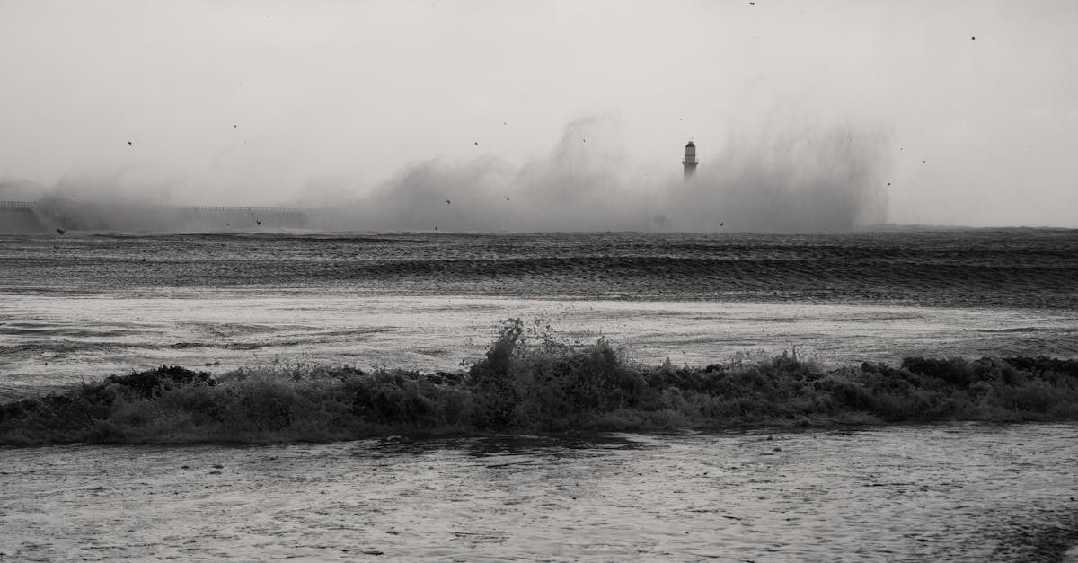 肺癌与吸烟:事实和谎言