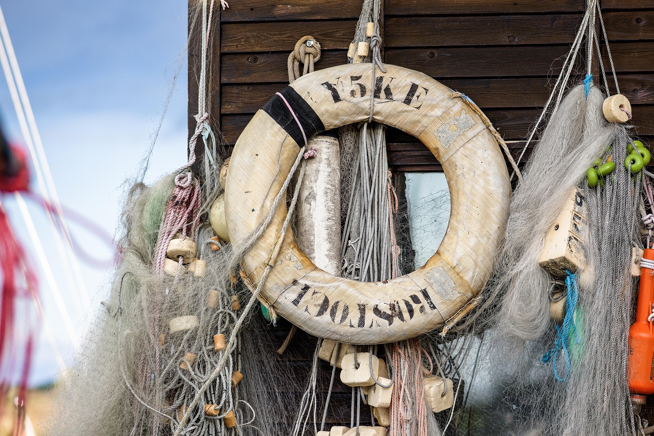 高能手办团：外资公司注册代理程序