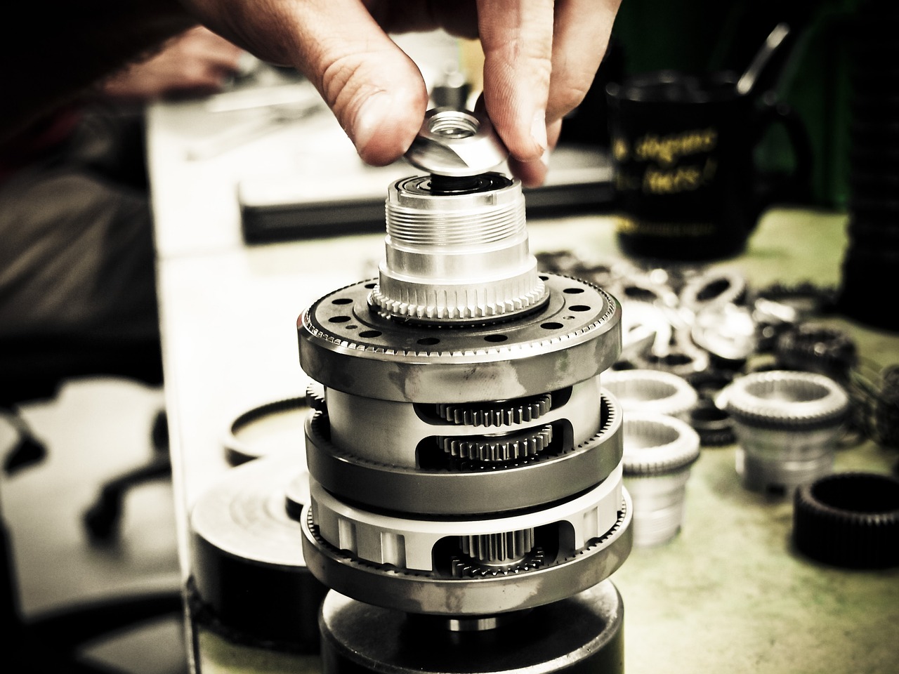 吸烟对自然环境和野生动物的影响