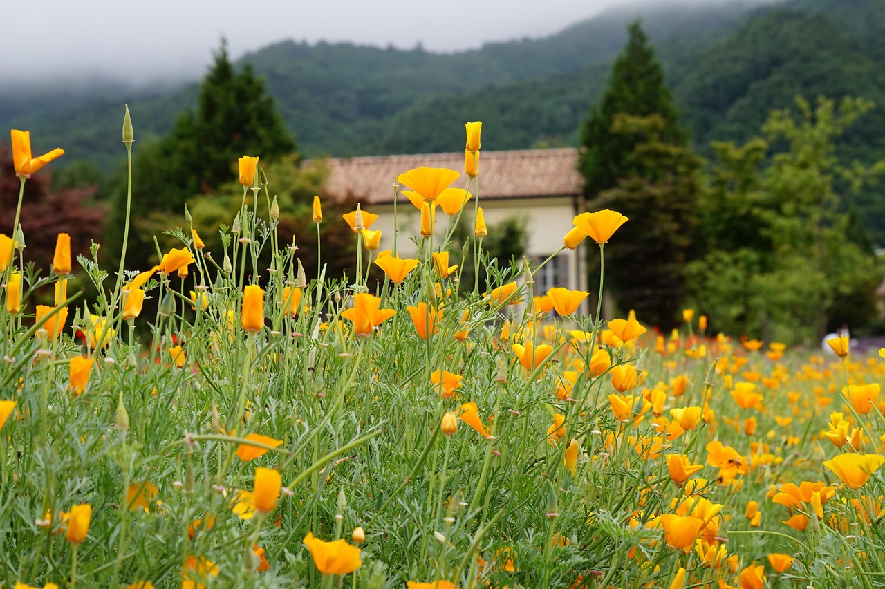 百度云实名账号：亿发国际首页开户平台