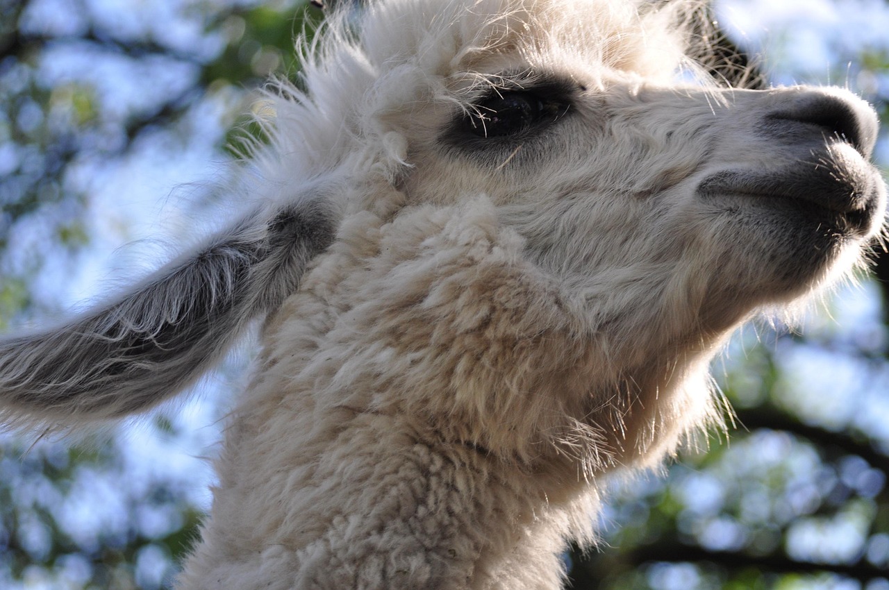 U友实名账号：颜色提取app详情下载教程