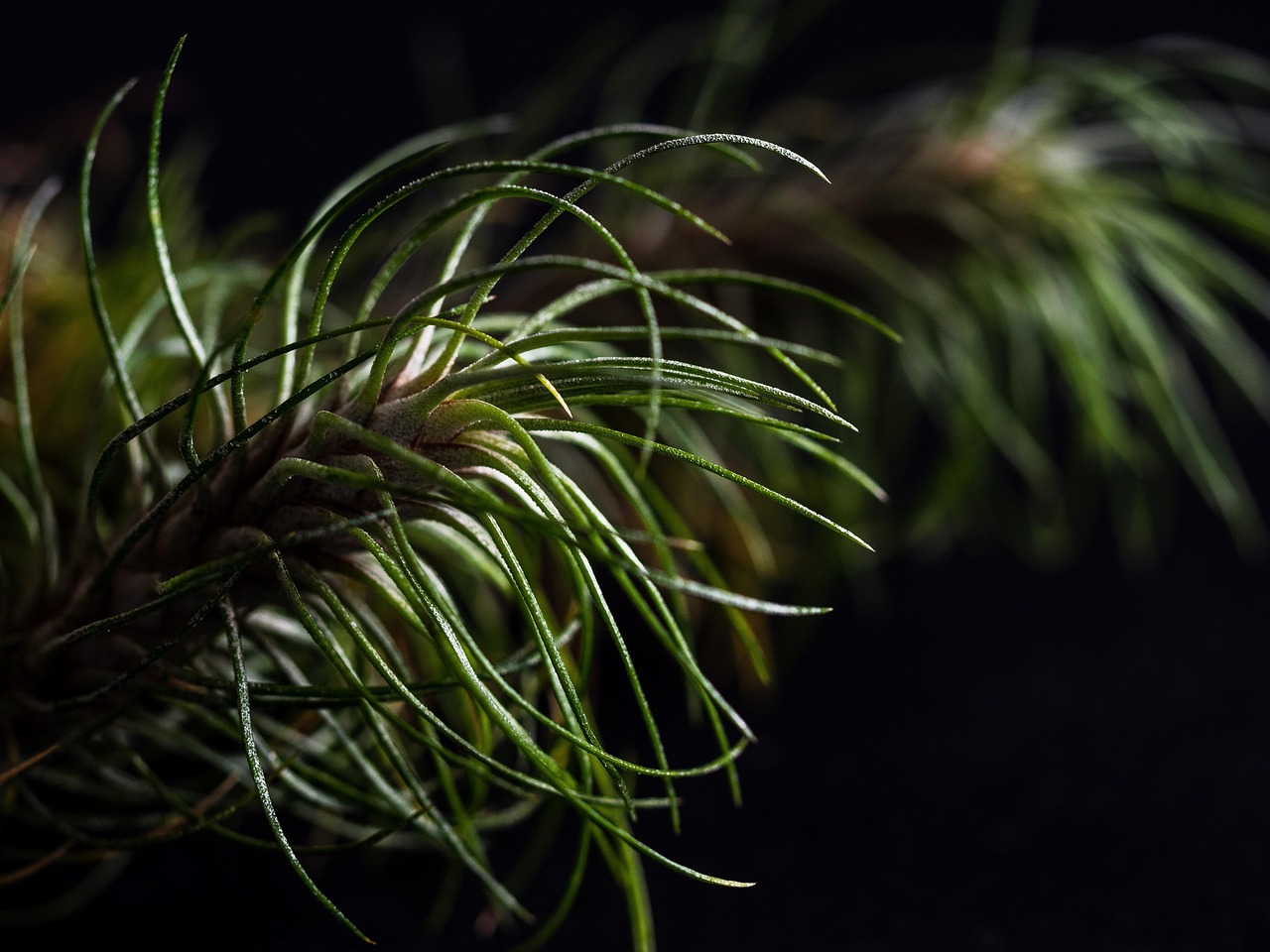 分发实名账号：app详情下载教程环境